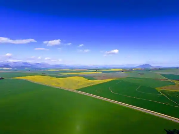 Aerial view of cultivated agricultural landscape